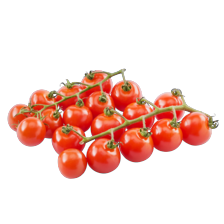 Noordertrots tros cherry tomaatjes